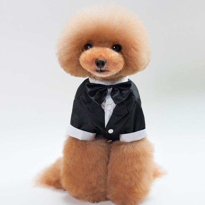 Wedding Suit pet clothes