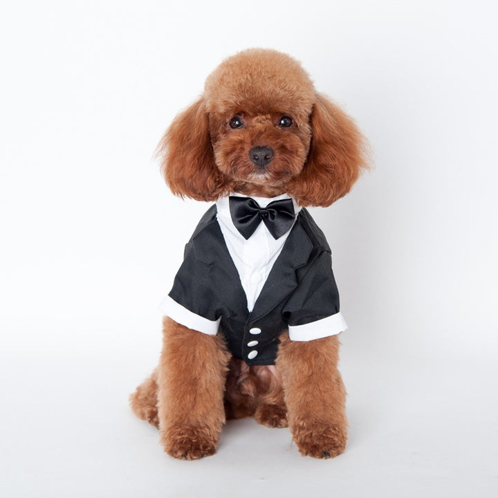 Wedding Suit pet clothes