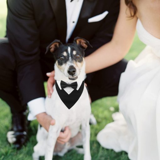 New Wedding Suit Dog Scarf